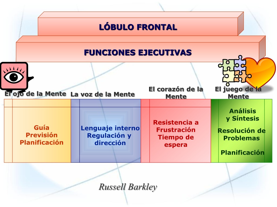 Cuales Son Las Funciones Ejecutivas En Niños - Actividad Del Niño